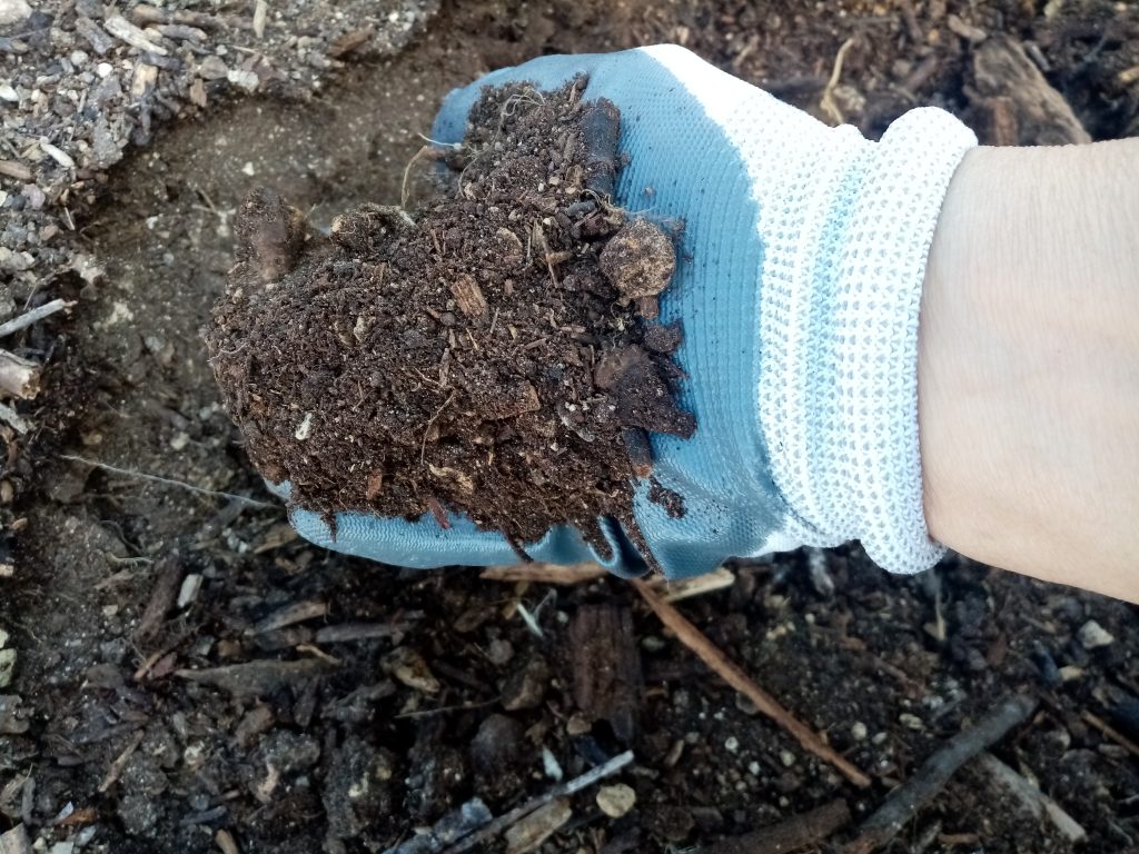 Utilizzo di Compost Ligneo